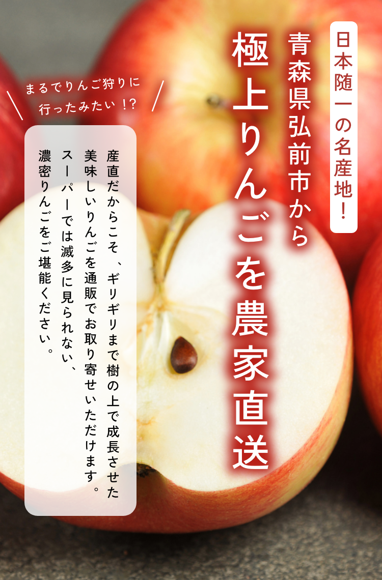 日本随一の名産地！青森県弘前市から極上りんごを農家直送　産直だからこそ、ギリギリまで樹の上で成長させた美味しいりんごを通販でお取り寄せいただけます。スーパーでは滅多に見られない、濃密りんごをご堪能ください。